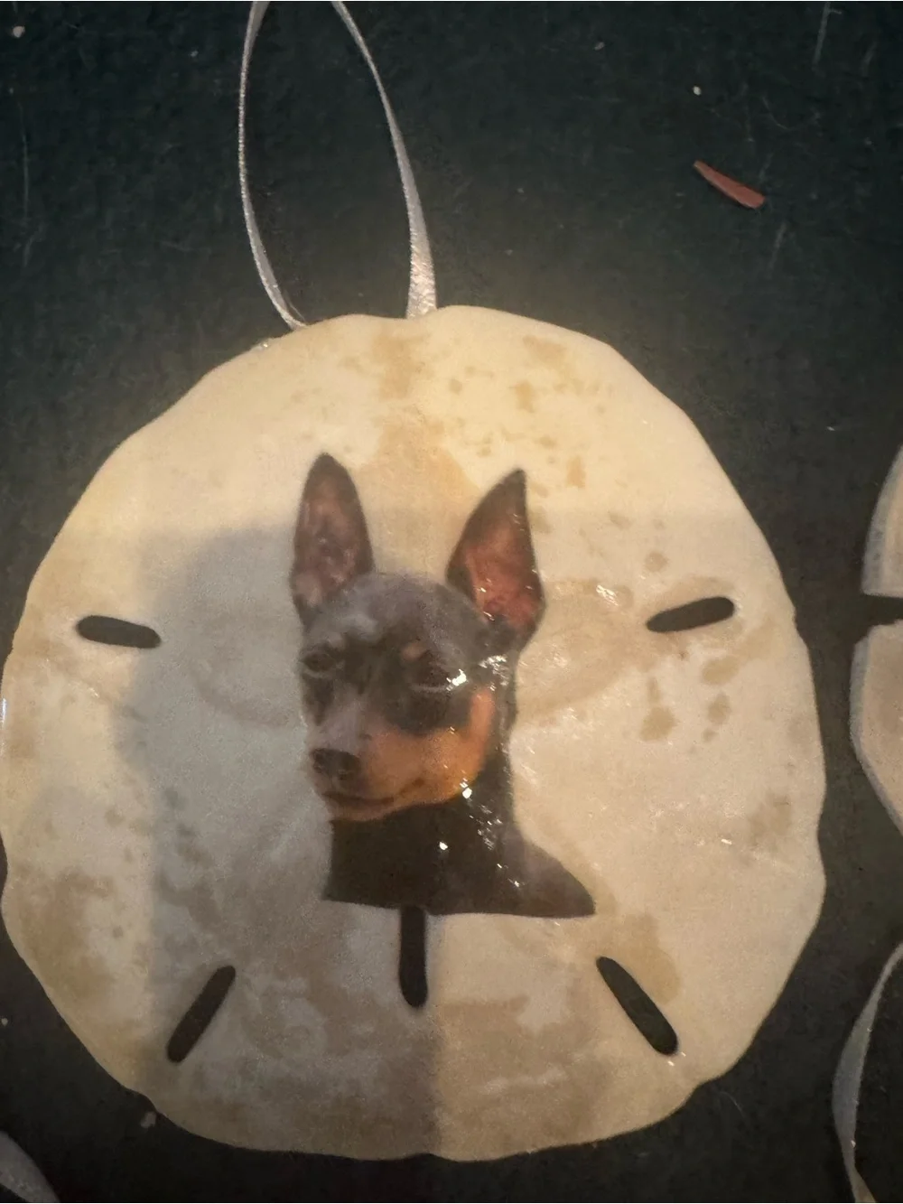 Custom Dog Photo real  Sand Dollar Ornament - Personalized Pet Keepsake (Cream)